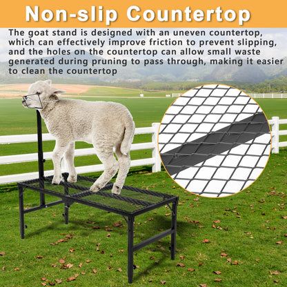 Nisorpa Goat Stand 51x23 Inch, Height Adjustable Sheep Stand for Shearing Trimming Milking, Max Load Capacity 550 LBS