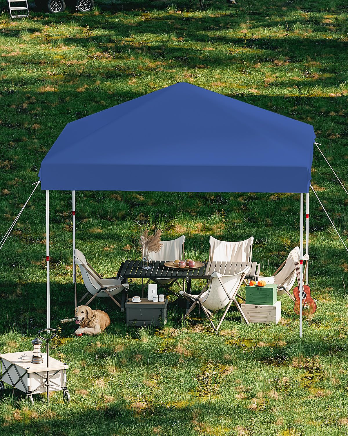 GarveeLife 10x10 Pop Up Canopy with One Button Push Setup - Heavy Duty Outdoor Canopy Tent with Portable Roller Bag - 3 Adjustable Height, 4 Weight Bags, 8 Stakes & 4 Guy Ropes Included, Blue