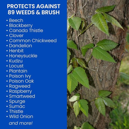 BioAdvanced Brush Killer Plus - Ready-to-Use 1.3 Gal | Effectively Kills Poison Ivy & Tough Brush Roots | Pack of 2