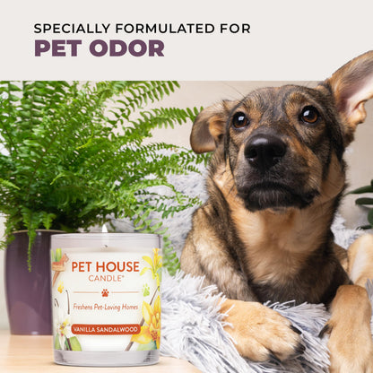 Pet House Lavender Candle Clean Burning, Long Lasting Pet Odor Candle for Home - Lavender Green Tea