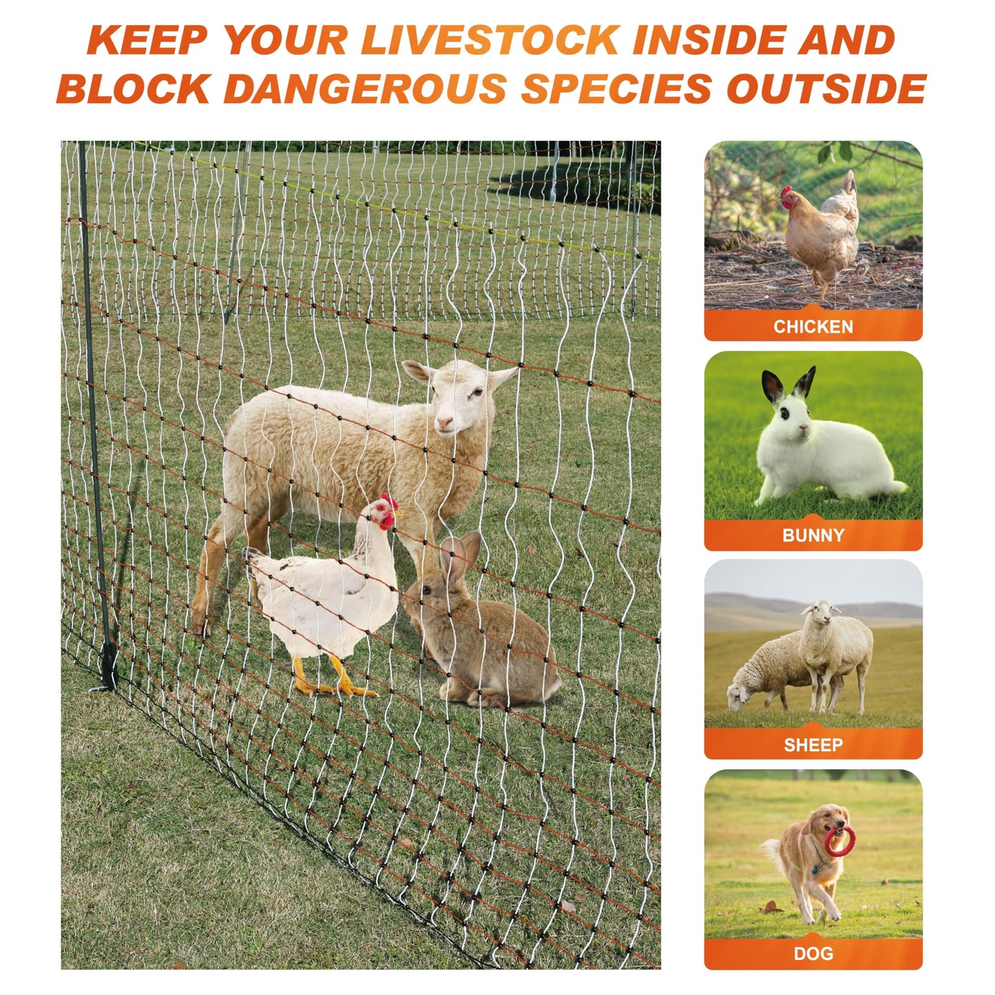 Poultry Electric Netting Fence - 47.3''H (can be Manually Raised to 59.1''H) x 65.6'L for Flying Chicken, Sheep, Goats in Farms, Ranches and Gardens, PK2