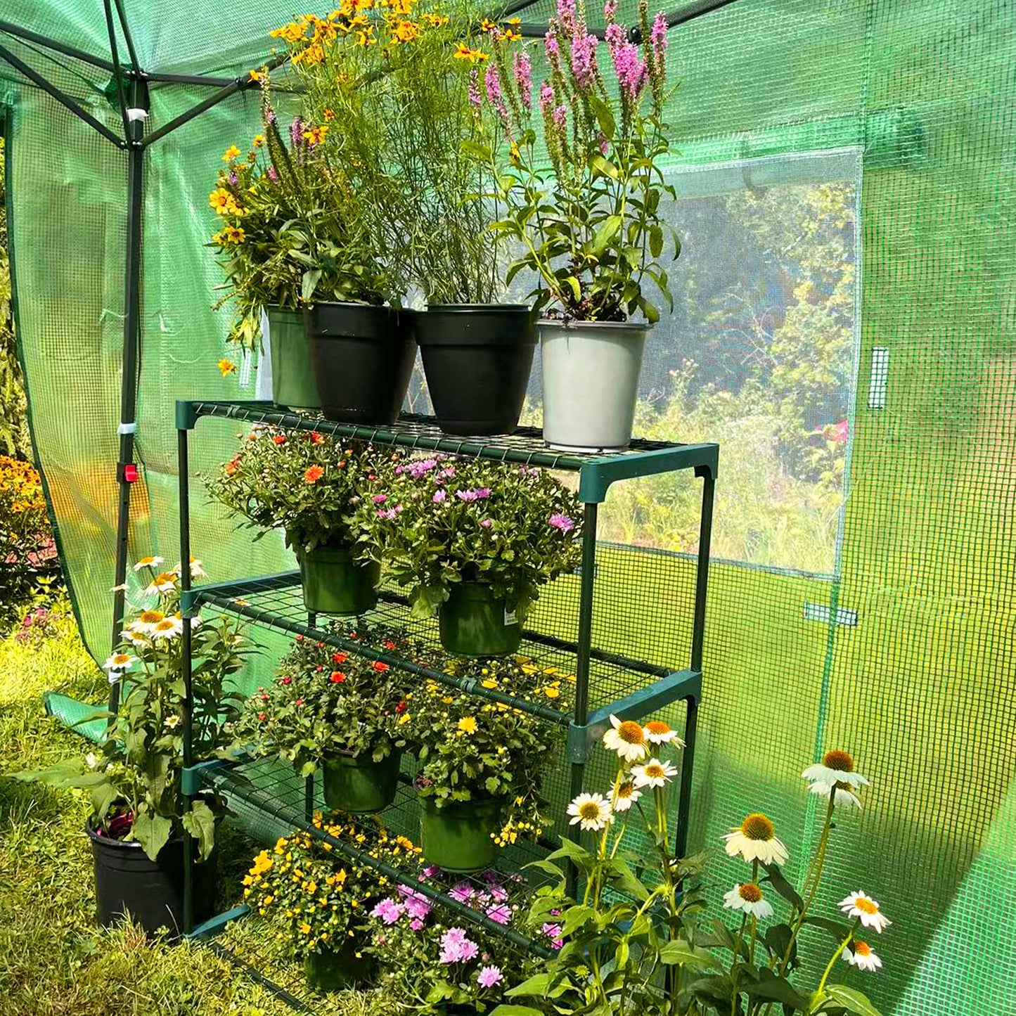 EAGLE PEAK 8'x6' Portable Greenhouse with Two Shelves