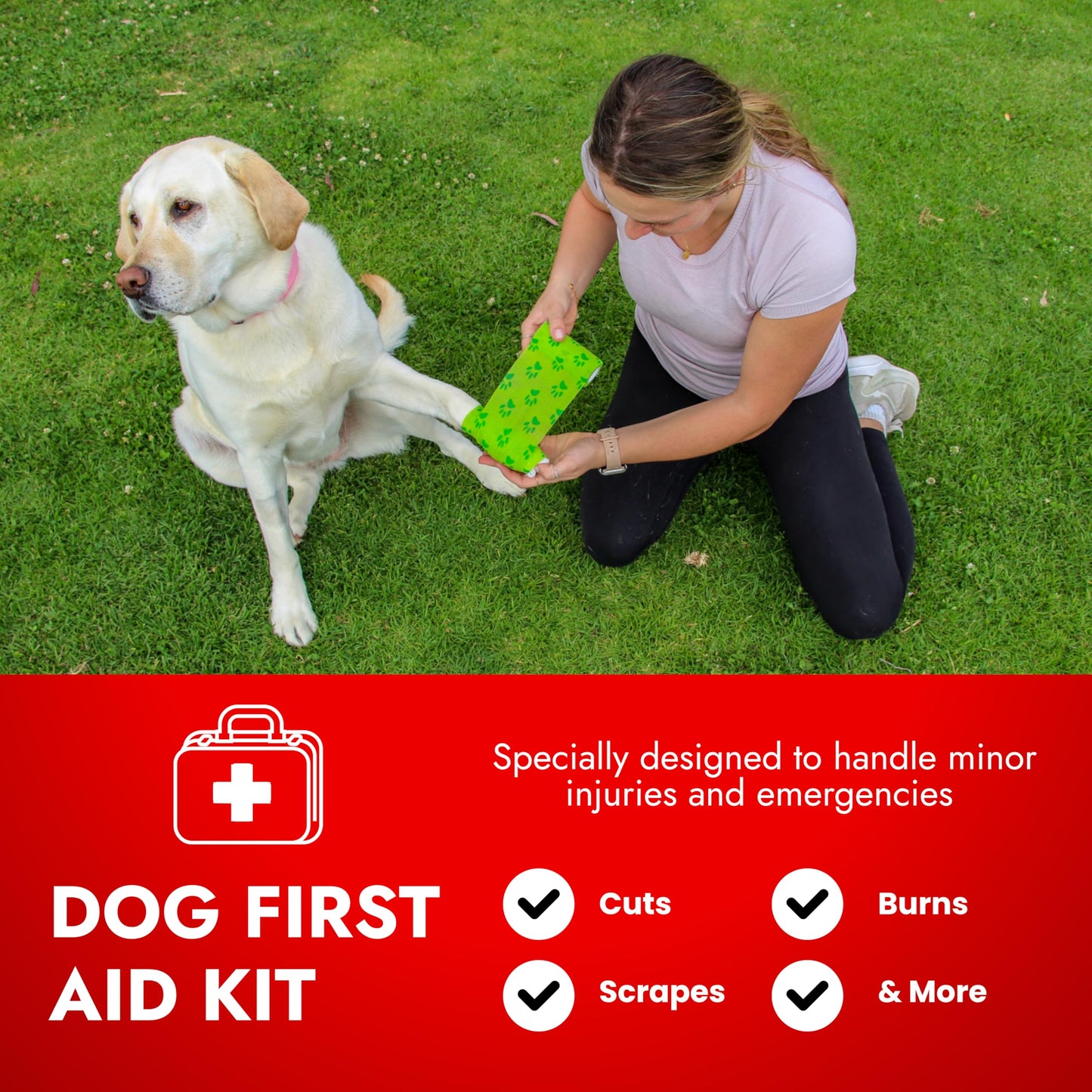 PetVet Medic Cat & Dog First Aid Kit - Dog Emergency Kit, Health Supplies & Wound Care -with Thermometer, Bandages for Wounds - Essentials, Travel Bag (Medium)