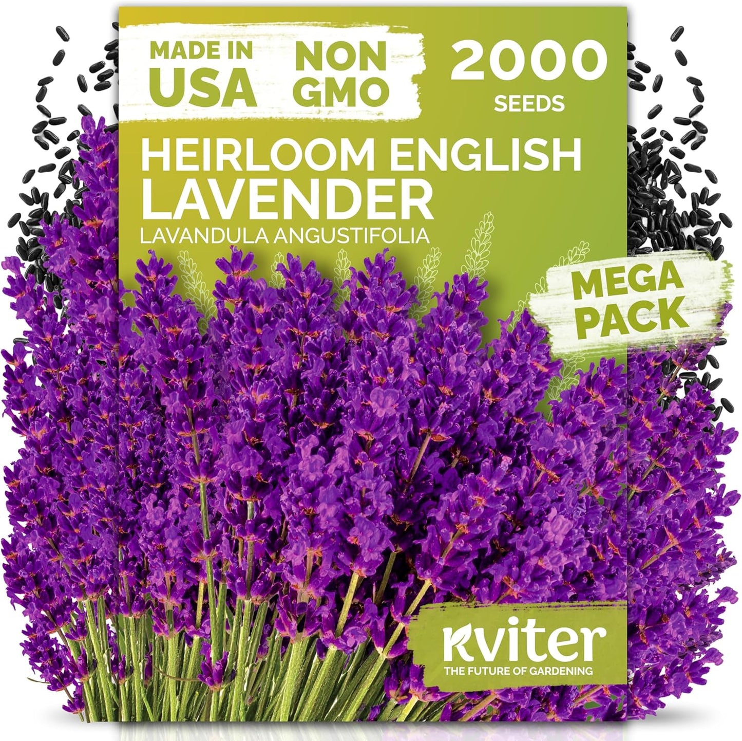 KVITER English Lavender Seeds - Organic Heirloom Perennial for Indoor & Outdoor Planting | Non-GMO Lavandula angustifolia