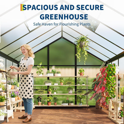6x10 FT Greenhouse for Outdoors, Polycarbonate Greenhouse with Roof Vent, Ground Nails, Lockable Push Door, Aluminum Large Walk-in Green House for Outside Garden Backyard, Patio, Lawn, Black