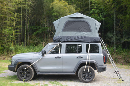 GDFStudio Inflatable Roof Top Tent for SUV Truck Car, 2 Person Rooftop Camping Tent with Air Beam Structure, Panoramic Skylight, Telescoping Ladder & Quick Setup, Outdoor Waterproof Travel Tent, Gray