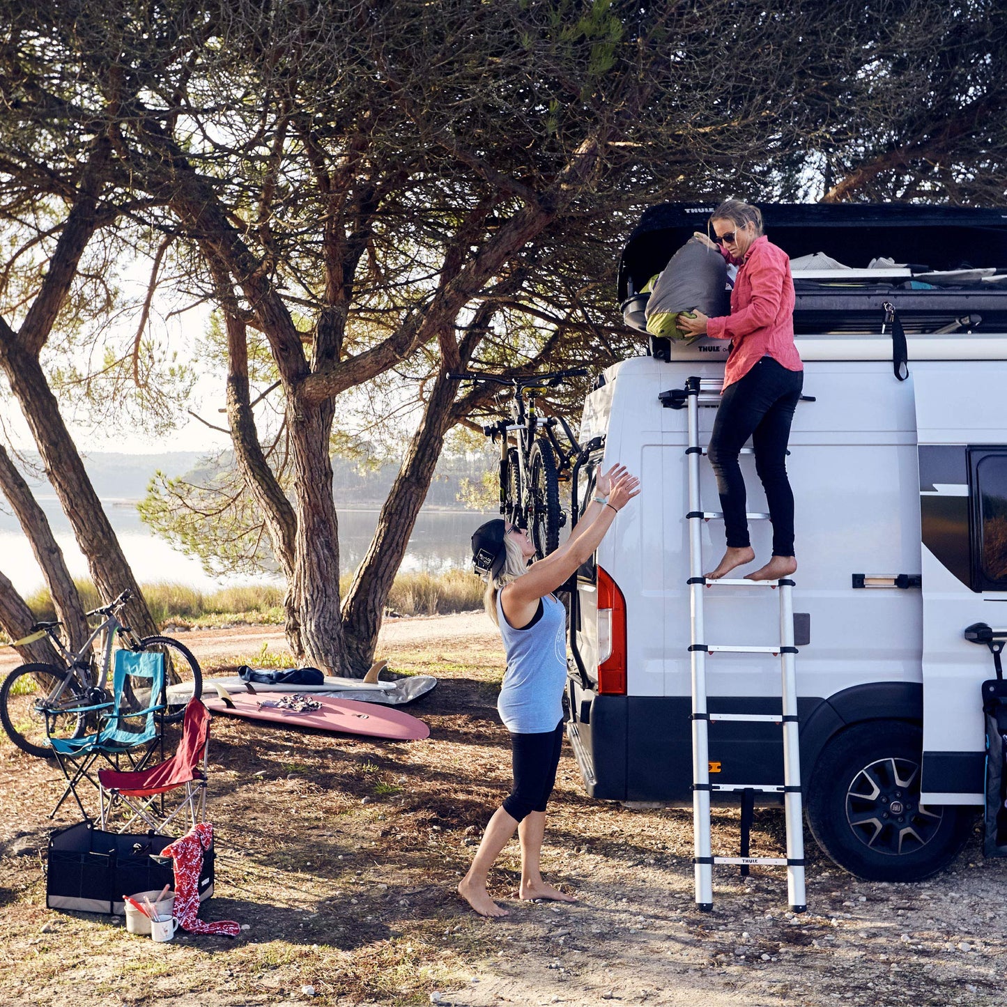 Thule Van Ladder - 9 Steps - 8.5Ft Extension - Telescoping Van Ladder - Easy Close System - EN:131 Compliant