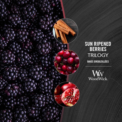 Woodwick Medium Hourglass Scented Trilogy Candle | Sun-Ripened Berries | with Crackling Wick | Up to 60 Hours Burn Time