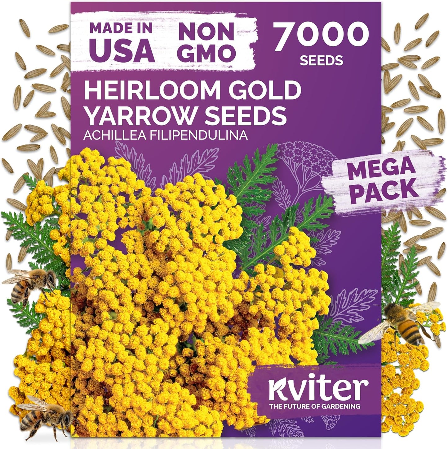 KVITER 7000 Gold Yarrow Seeds - Heirloom Organic Perennial Flower Seeds for Gardens & Meadows