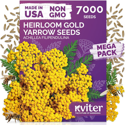 KVITER 7000 Gold Yarrow Seeds - Heirloom Organic Perennial Flower Seeds for Gardens & Meadows