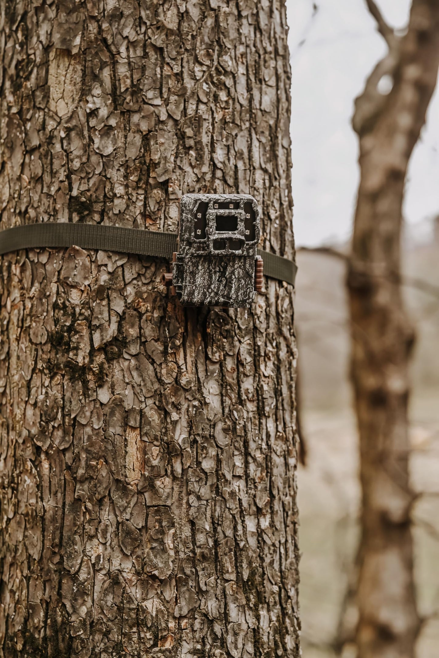 Browning Strike Force Pro DCL Nano Trail Game Camera Bundle Includes Sub Micro Security Box + 32GB Memory Card + J-TECH Card Reader (26MP) | BTC5DCLN