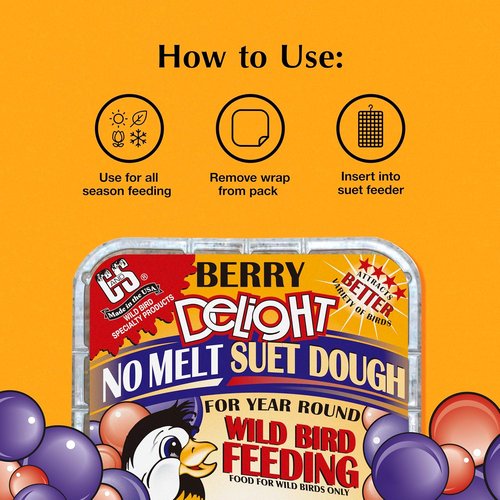C&S Berry Delight Suet Cakes - No Melt Formula for Wild Birds | 11.75 Ounces, Pack of 8