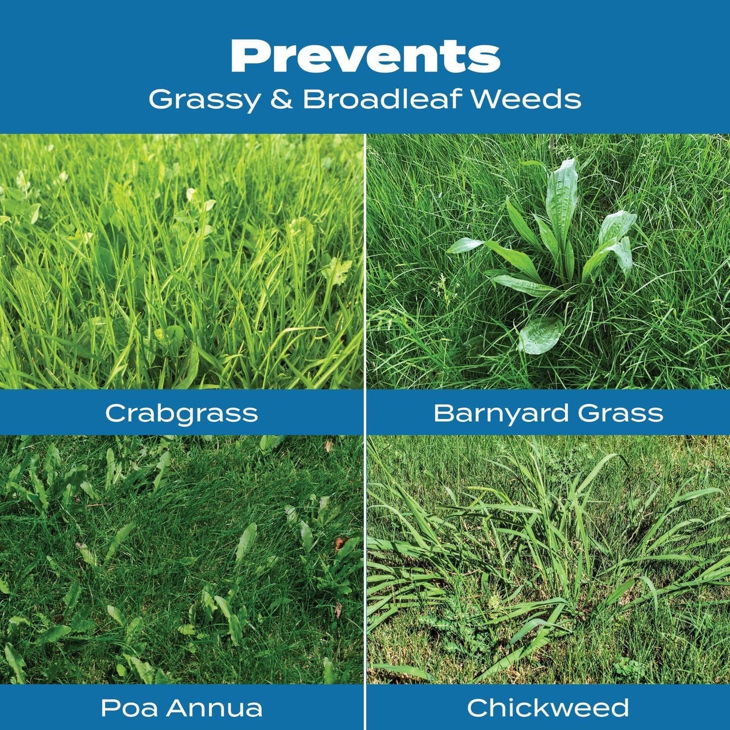 Scotts Turf Builder Crabgrass Preventer & Lawn Food - Covers 5,000 Sq. Ft.
