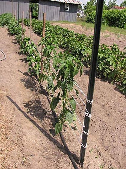 6300FT Tomato Tying Garden Twine - Durable, Heavy-Duty Twine for Support and Growth