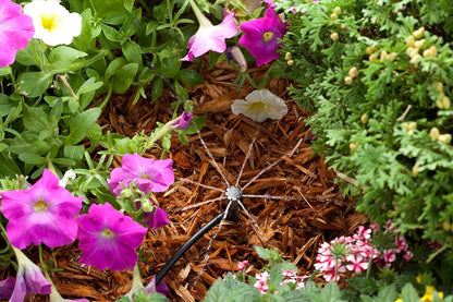 Rain Bird LNDDRIPKIT Drip Irrigation Kit - Efficient Landscape & Garden Watering System with Drippers & Micro-Bubblers