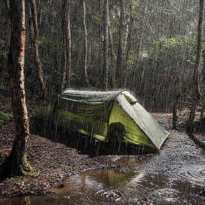 Night Cat Ultralight Tunnel Tent: Waterproof Lightweight Two People Backpacking Tent for Outdoor Camping Hiking Trekking with Double Layers Aluminum Poles and Footprint 2 Persons Green