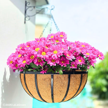LaLaGreen Outdoor Hanging Baskets for Plants (20 Inch, 4 Pack) Extra Large Black Metal Flat Iron Hanging Planter with Coco Liner Round Flower Pot Holder Deck Porch Modern Garden Balcony Rustic Decor