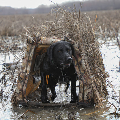 Momarsh Invisi Lab Dog Blind for Waterfowl Hunting | Adjustable Pet Blind for Dry or Wet Land Hunting & Training | Water Resistant Shell with Mesh Draining Bottom | Optifade Marsh