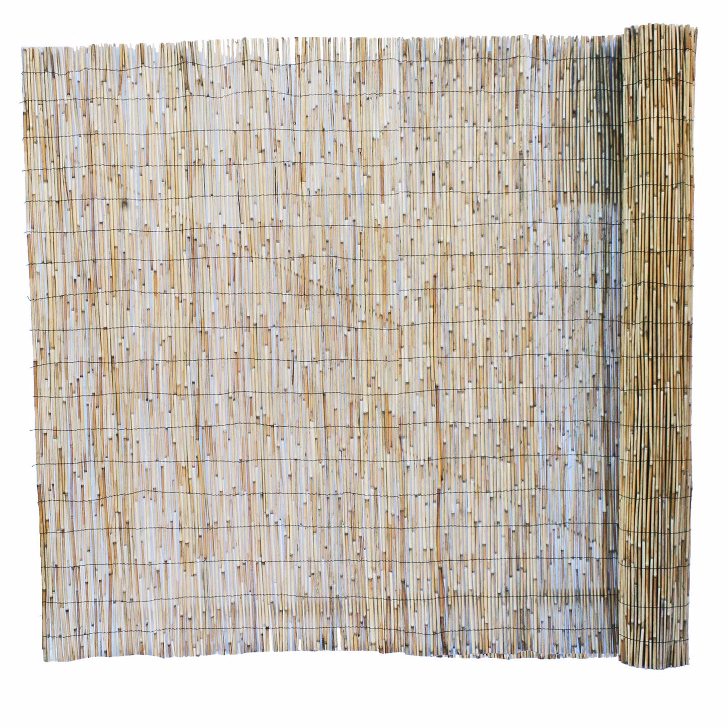 Forever Bamboo Jumbo Reed Natural Bamboo Screen Fencing Privacy Fence Backyard Divider Decorative Reed Garden Fencing 72 in H x 192 in L