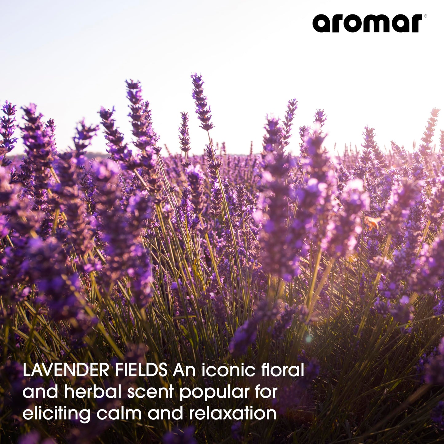 AROMAR Premium Fragrance Oil - Essential Oil for Diffusers & Home Aromatherapy - Cool Waters - 8oz
