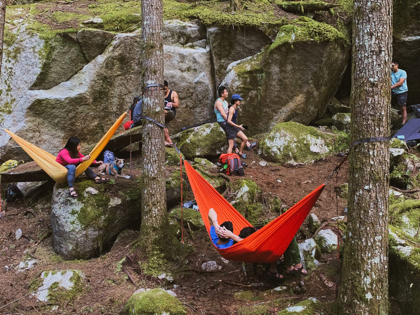 KAMMOK: Swiftlet Portable Stand & Roo Double Midnight Blue Hammock Set