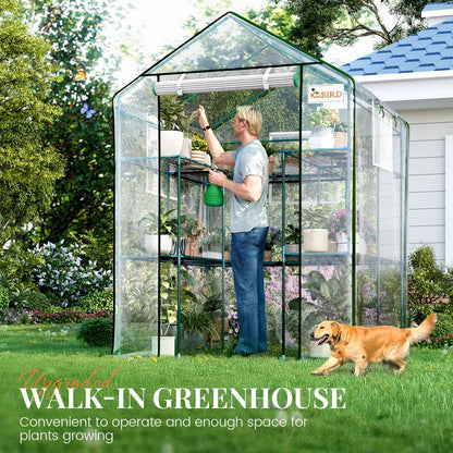 KING BIRD Premium Greenhouse for Outdoors, 56x56x77 in Walk-in Hot House with Thickened Cover, Reinforced Frame, Screen Windows & Mesh Door, 3 Tiers 14 Shelves for Outside Garden Seedlings, Clear