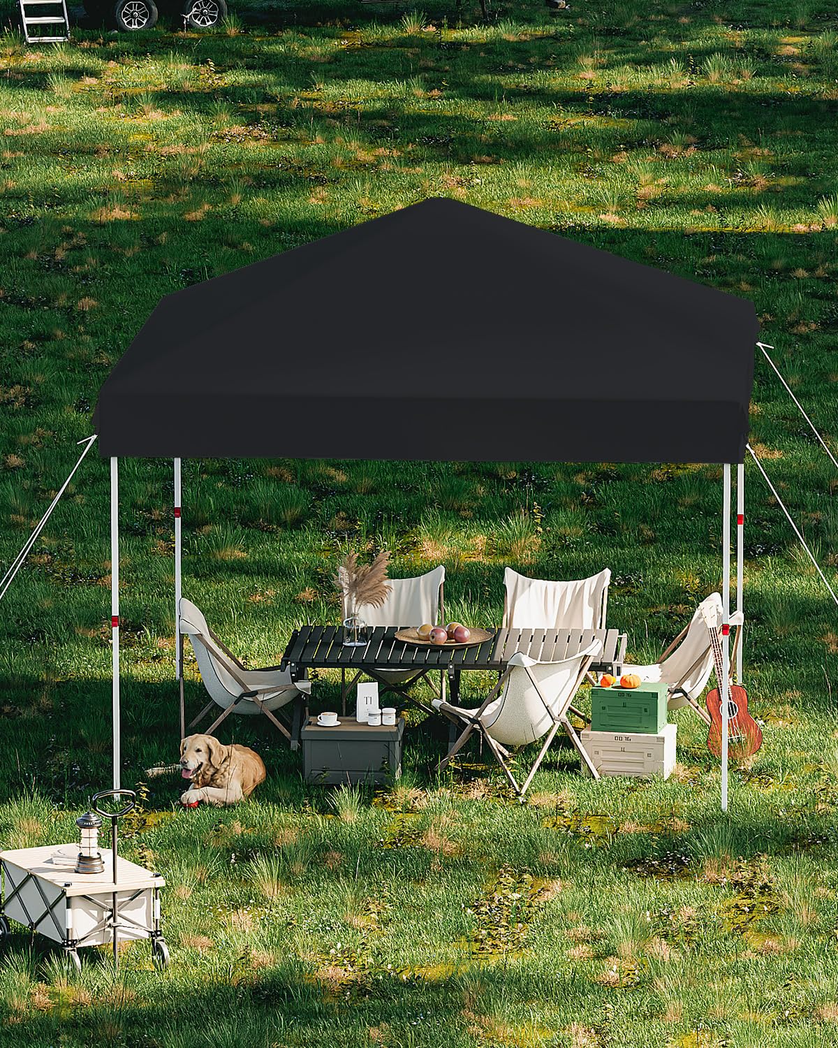 GarveeLife 10x10 Pop Up Canopy with One Button Push Setup - Heavy Duty Outdoor Canopy Tent with Portable Roller Bag - 3 Adjustable Height, 4 Weight Bags, 8 Stakes & 4 Guy Ropes Included, Black