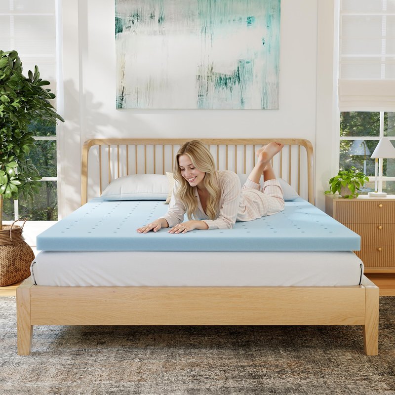 EGOHOME 3 Inch Queen Size Memory Foam Mattress Topper