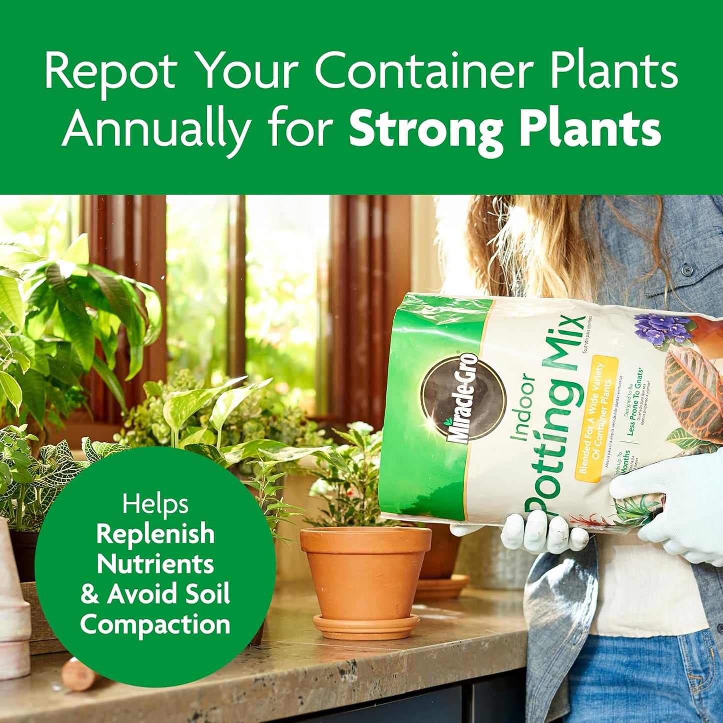 Miracle-Gro Indoor Potting Mix - Nutrient-Rich Blend for Houseplants | 6 Qt. | 2-Pack