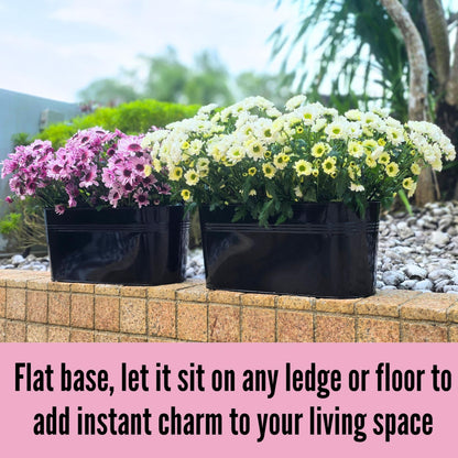 LaLaGreen Outdoor Plants Rail Planter (16 Inch, 6 Pack) Black Metal Iron Hanging Flower Pots Deck Railings Fence Buckets Modern Boho Style Wall Mount Window Boxes Plant Holder Hooks Porch Home Decor