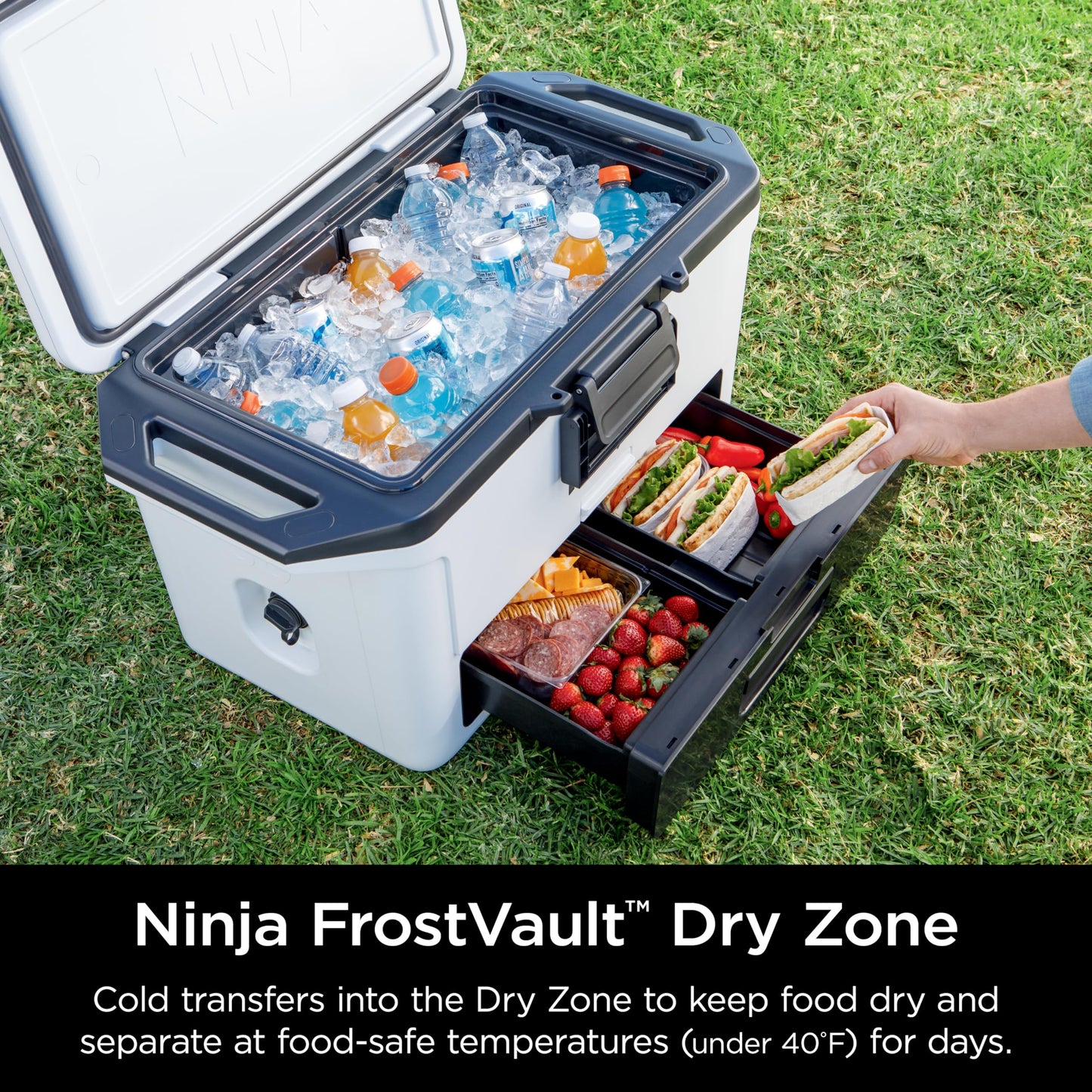 Ninja FB151WH FrostVault 50qt Hard Cooler with Dry Zone, Integrated Fridge-Temp Dry Storage Drawer, Premium Heavy-Duty Insulated Cooler, Keeps Ice for Days, Cloud White