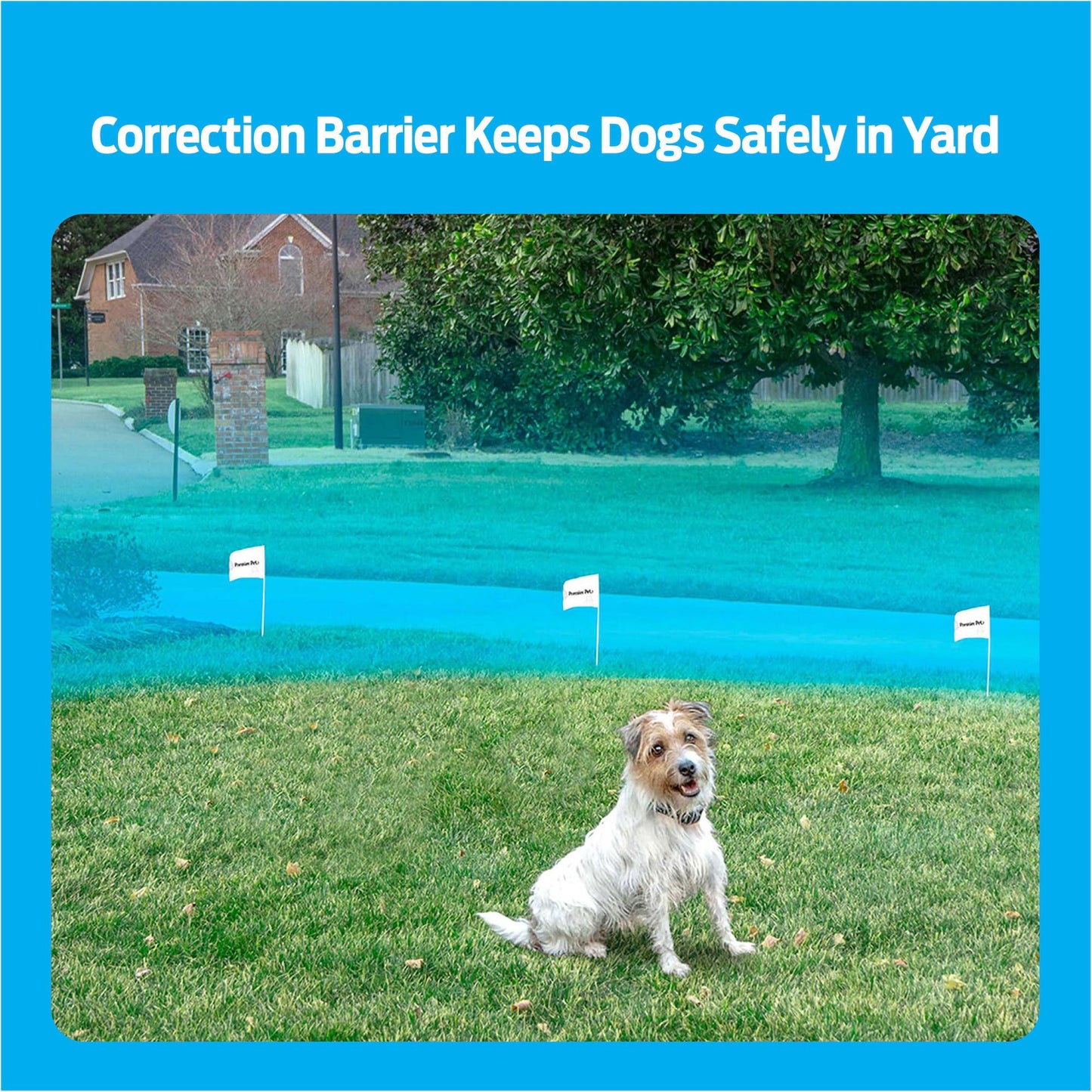 Premier Pet In-Ground Fence System Customizable Pet Fence for Small and Large Dogs, Coverage Up to 1/3 Acre & Expandable up to 5 Acres, Waterproof Adjustable Collar, Replaceable Battery