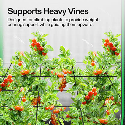 VIVOSUN 3 x 3Ft. Elastic Trellis Netting and S336 3x3 Grow Tent, 36"x36"x72" High Reflective Mylar with Observation Window and Floor Tray for Hydroponics Indoor Plant