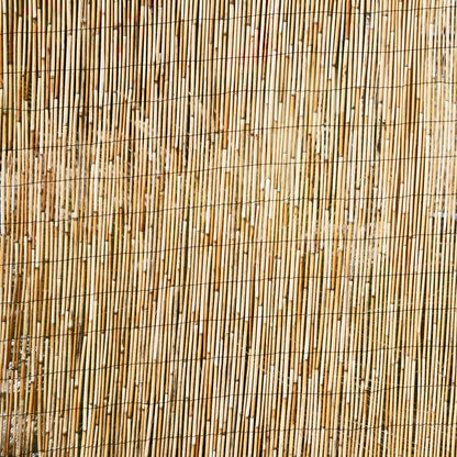 Forever Bamboo Jumbo Reed Natural Bamboo Screen Fencing Privacy Fence Backyard Divider Decorative Reed Garden Fencing 72 in H x 192 in L