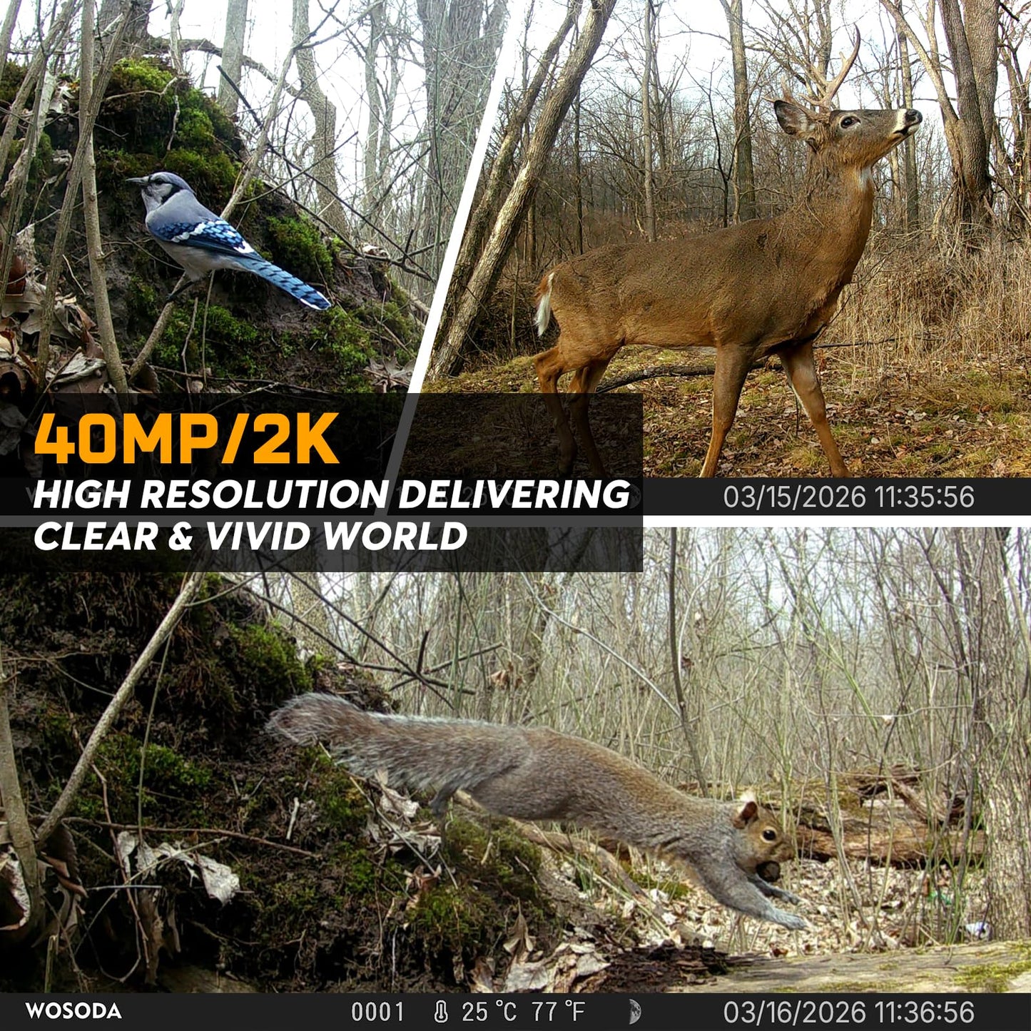 WOSODA 3 Pack Trail Cameras with Night Vision Motion Activated Waterproof,40MP Game Camera,2K HD Trail Cam with 32GB SD Card for Wildlife Monitoring,Outdoor Scouting & Security