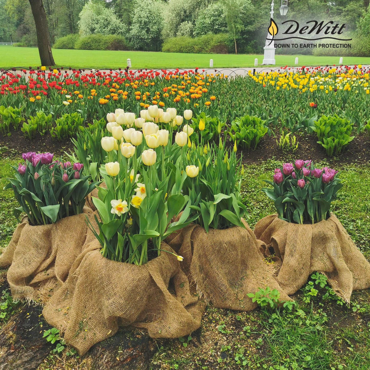 Dewitt Natural Burlap Roll 5.5 oz, 4 x 250 Feet – Medium-Weave Jute Fabric for Soil Covering, Plant Protection, Tree Wraps, Erosion Control, Wind Screens, and Crafts