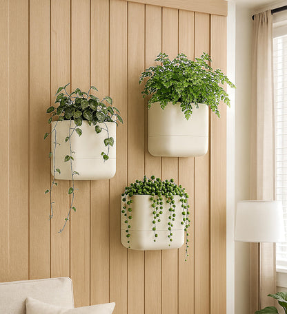 Phoenix Vine 6.5 Inch Wall Mounted Self-Watering Planter Pots for Indoor Houseplants and Herbs | Hanging Planter for Window Sills, Bathroom Walls, Home & Office Décor, Oatmeal, Set of 3, 01-C-G-3