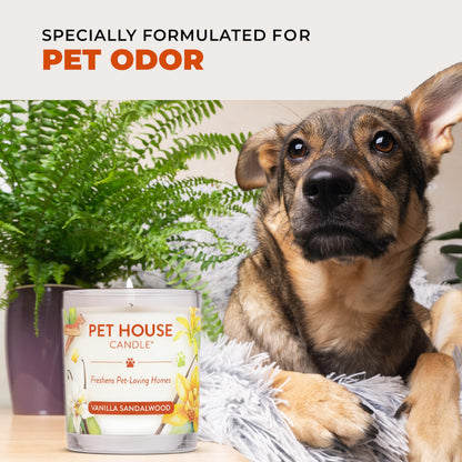 Pet House Pet Odor Candle Plant Based Scented Candle Clean Burning, Long Lasting for Home, Evergreen Forest