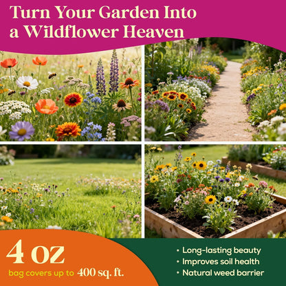 Seedphony 19 Bee Wildflower Seeds Mix - 100,000 Non-GMO Heirloom Seeds for Pollinators | 4oz Waterproof Packet
