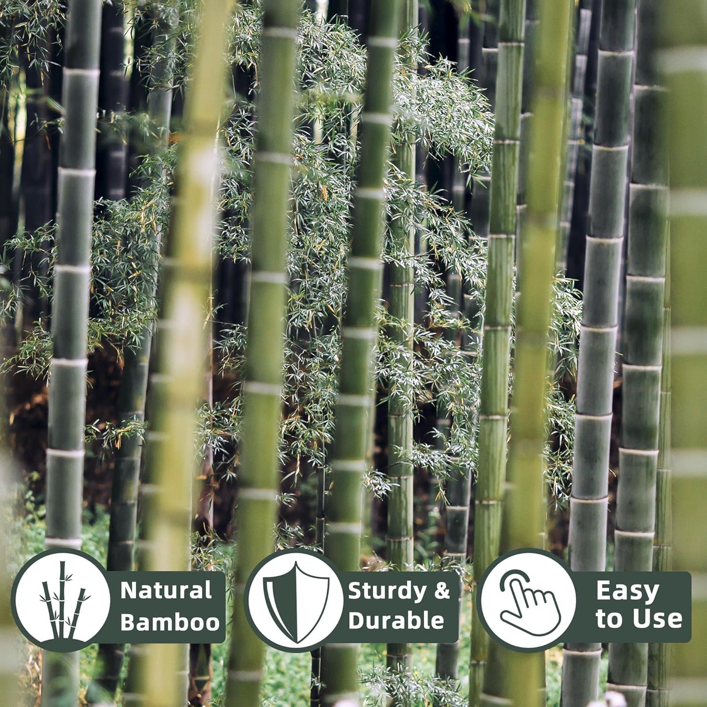 Bamboo Plant Stakes - 50 Pcs 2ft Garden Support Sticks for Indoor/Outdoor Plants | Ideal for Tomatoes & Climbing Plants