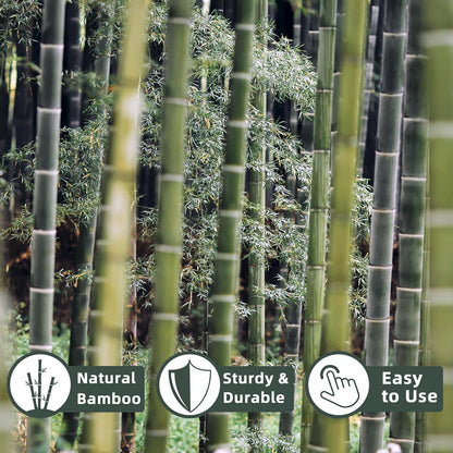 Bamboo Plant Stakes - 50 Pcs 2ft Garden Support Sticks for Indoor/Outdoor Plants | Ideal for Tomatoes & Climbing Plants