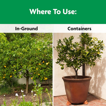 Miracle-Gro Shake 'N Feed Plant Food - Nourishing Citrus, Avocado & Mango Trees | 4.5 lbs
