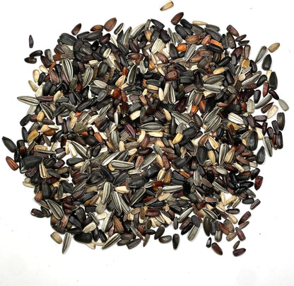 Seed Needs Sunflower Seeds - Crazy Blend Heirloom Varieties | 1 Ounce Resealable Bulk Package