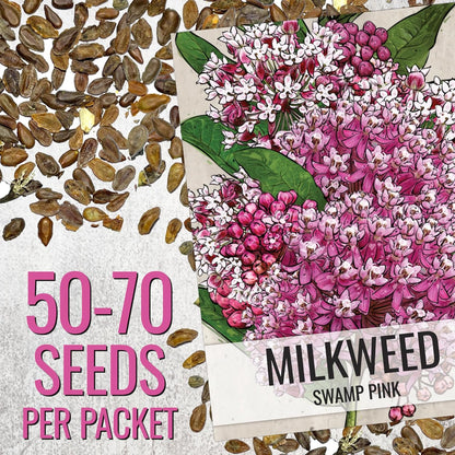 Seed Needs Milkweed Seeds - Attract Monarch Butterflies with Pink, Orange & White Variety Pack (5 Packs)