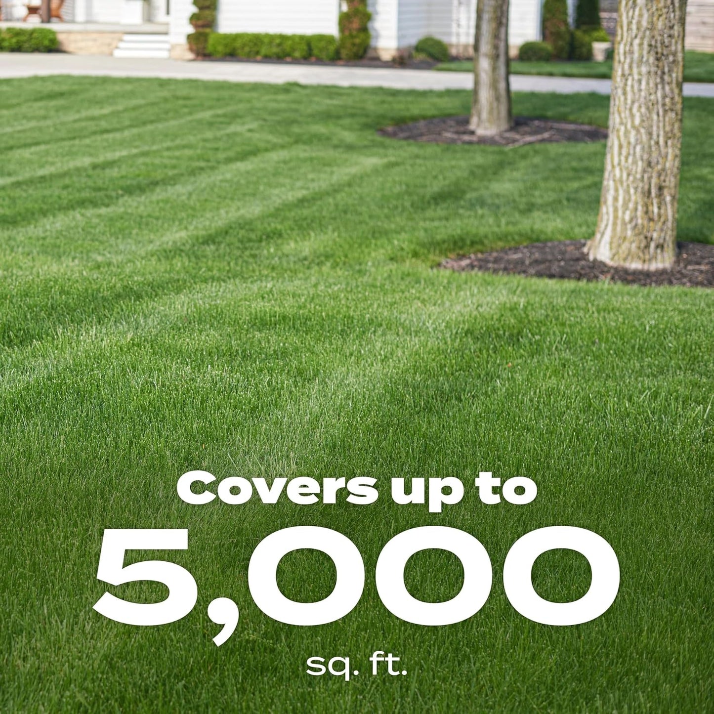 Scotts Green Max Lawn Food - Premium Nutrient-Rich Formula for Lush Lawns | Covers 5,000 Sq. Ft.