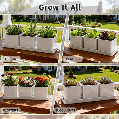 Indoor Herb Garden, Herb Planter Set with Handled Tray, 3 Iron Indoor Plant Pots with Drainage Holes, Windowsill Planter with Customizable Labels, Marker Pen, 10 Plant Labels, Window Pots, White