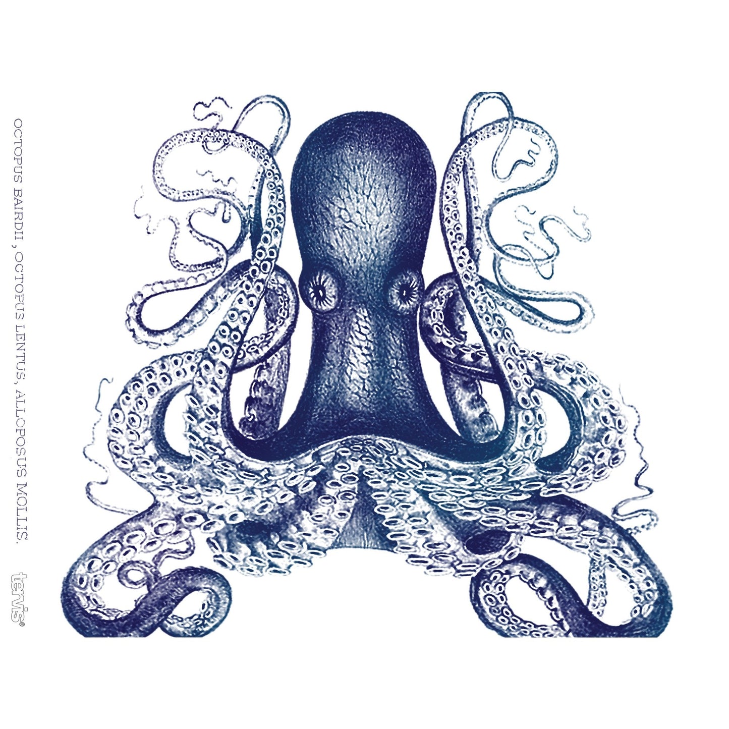 Tervis Octopus Made in USA Double Walled Insulated Tumbler Travel Cup Keeps Drinks Cold & Hot, 24oz, Classic