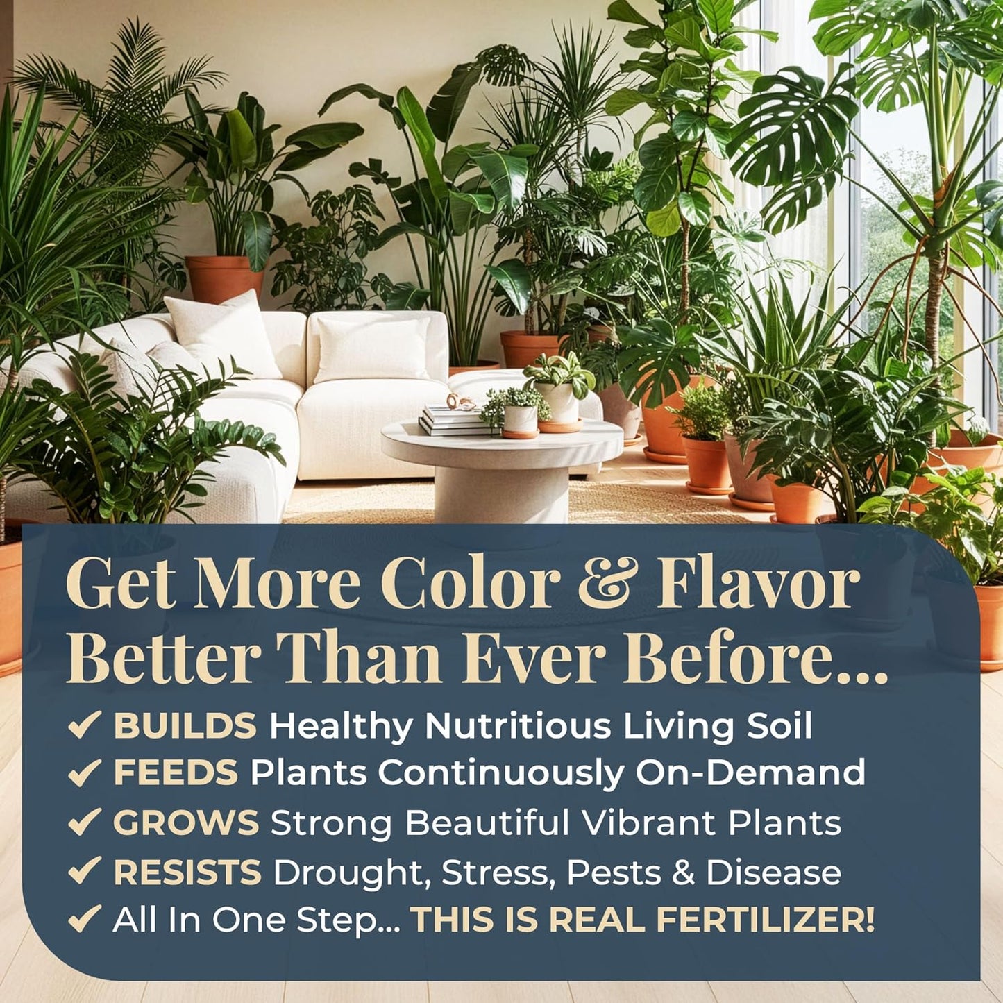 Organic Plant Magic - Fast-Acting Water Soluble Fertilizer - All-Purpose Plant Food for Garden & Houseplants | 1/2 lb Bag