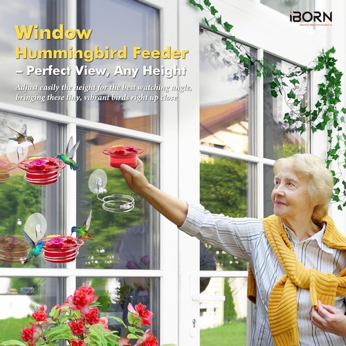 iBorn Mini Hummingbird Feeder - 3 Oz Outdoor Feeder with Strong Suction Cup & Stainless Steel Base | 3 Feeding Ports