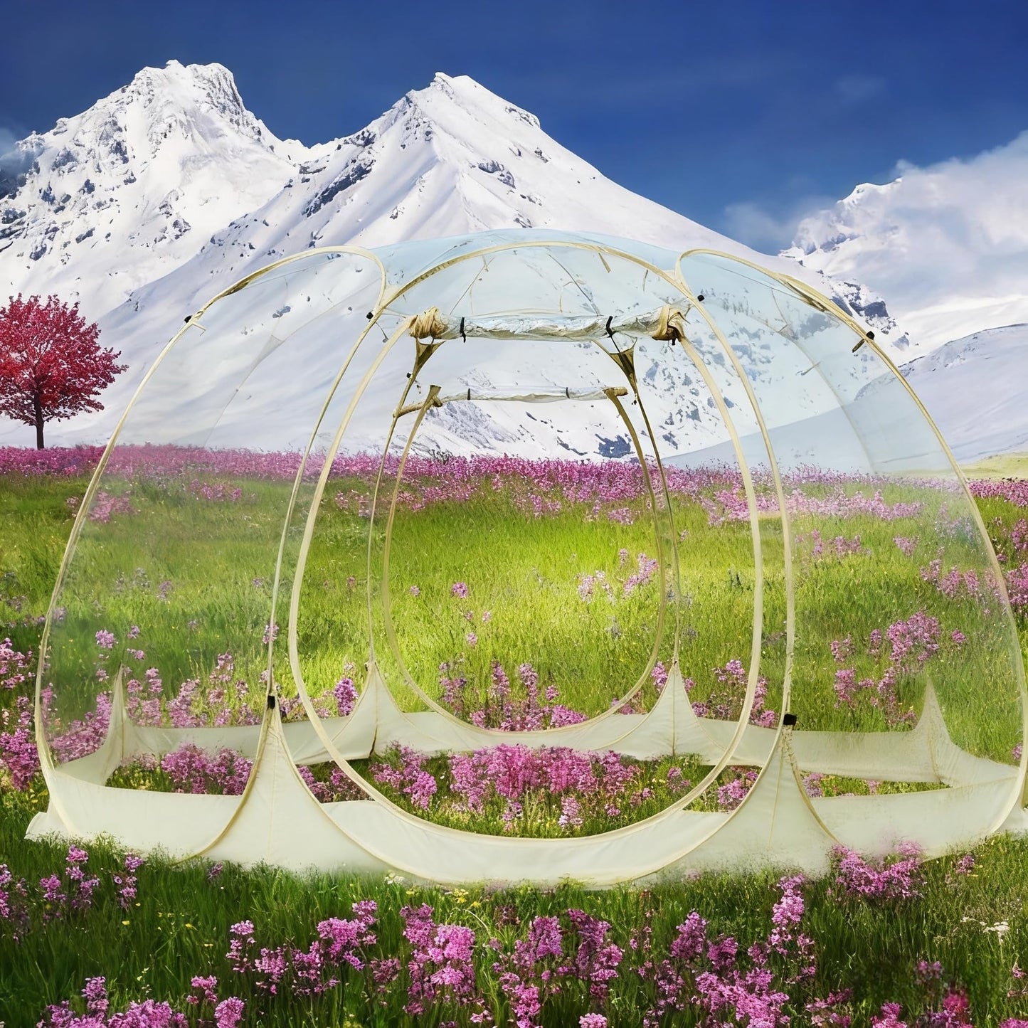 BGYMF 15x15FT Spacious Pop Up Bubble Tent for 10-15 People,Outdoor Clear Dome with Rain Cover, Portable Garden Globe Igloo Tent for Camping